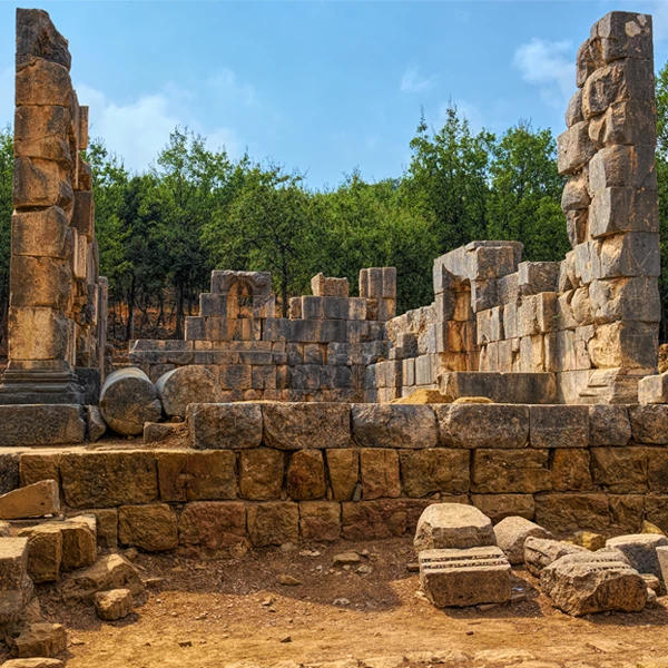 Focus sur 41 temples romains au Liban